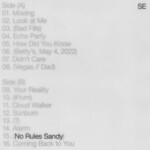 #35 - Sylvan Esso - No Rules Sandy