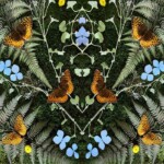 #6 - Jean Michel Blais - aubades